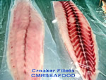 See more Croaker images
