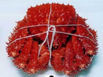 See more King Crab images